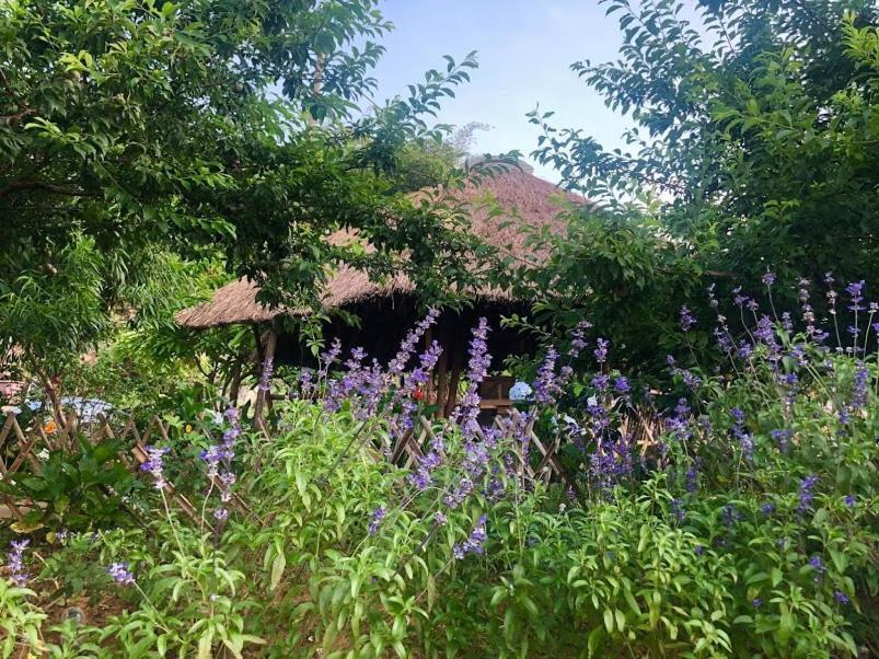 Bed and Breakfast Savana Моктяу Экстерьер фото