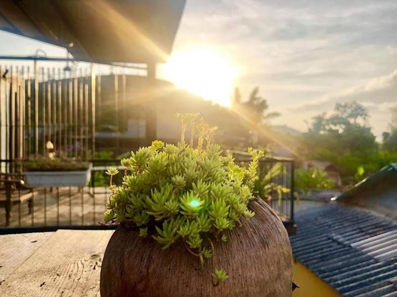 Bed and Breakfast Savana Моктяу Экстерьер фото